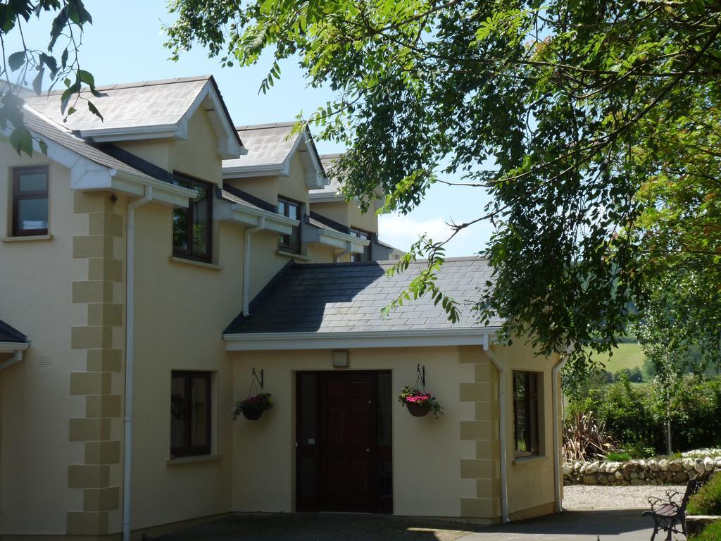 Macreddin Rock Bed & Breakfast Aughrim Zewnętrze zdjęcie
