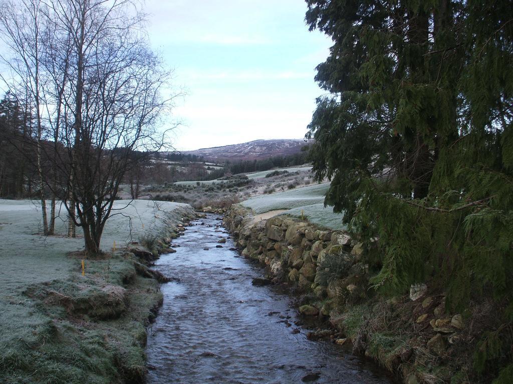 Macreddin Rock Bed & Breakfast Aughrim Zewnętrze zdjęcie