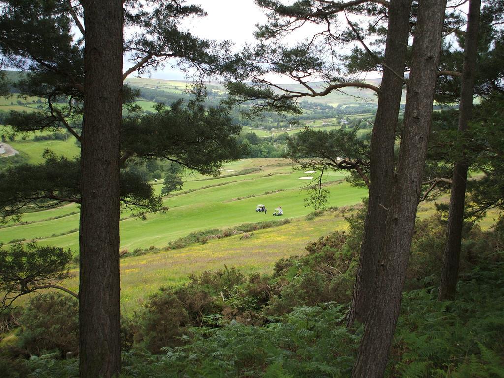 Macreddin Rock Bed & Breakfast Aughrim Zewnętrze zdjęcie