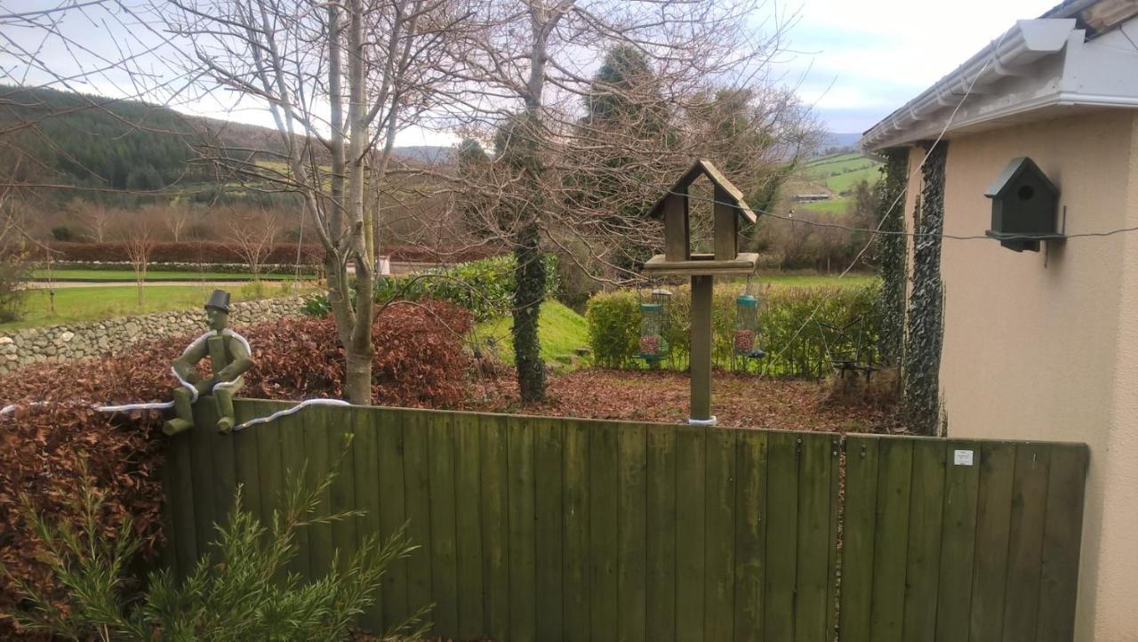 Macreddin Rock Bed & Breakfast Aughrim Zewnętrze zdjęcie