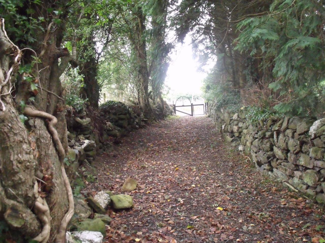 Macreddin Rock Bed & Breakfast Aughrim Zewnętrze zdjęcie