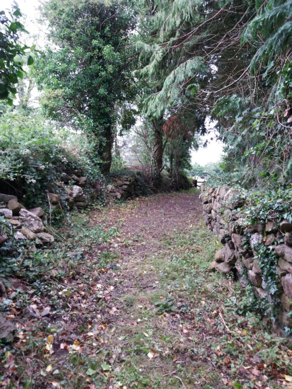 Macreddin Rock Bed & Breakfast Aughrim Zewnętrze zdjęcie